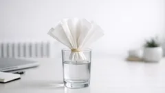 Trockeni Heizungsluft? Mit Kaffeefilter und Wasser bausch dir en Mini-Luftbefeuchter ohne Strom