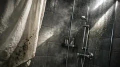 Duschvorhang nervt? So löst du das Schimmel- und Anklebe-Problem im Bad dauerhaft